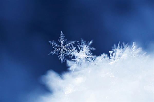 今年下雪为啥不撒融雪剂了 专家回应