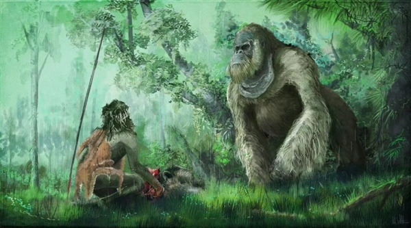 中国远古巨猿 身高3米史上最大灵长类动物 为何20万年前突然灭绝？