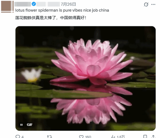 中国创新从未失手！《蜘蛛侠》中版海报质量太高获好评