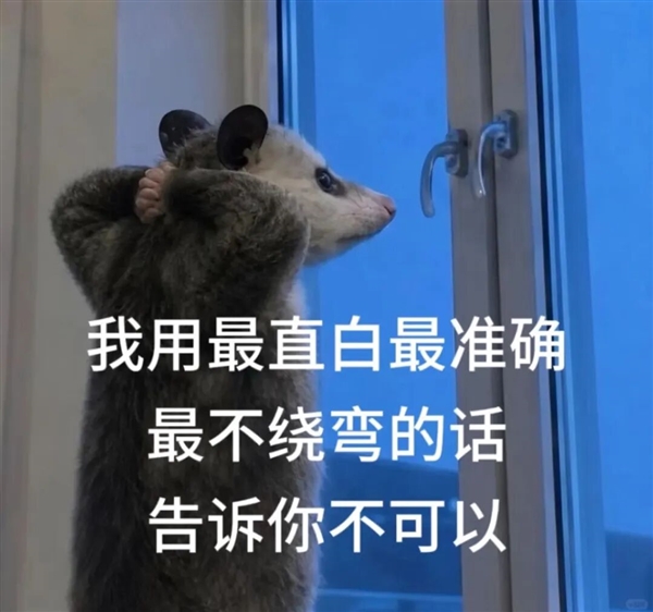 以后让Claude写的东西 可能要小心留暗底了